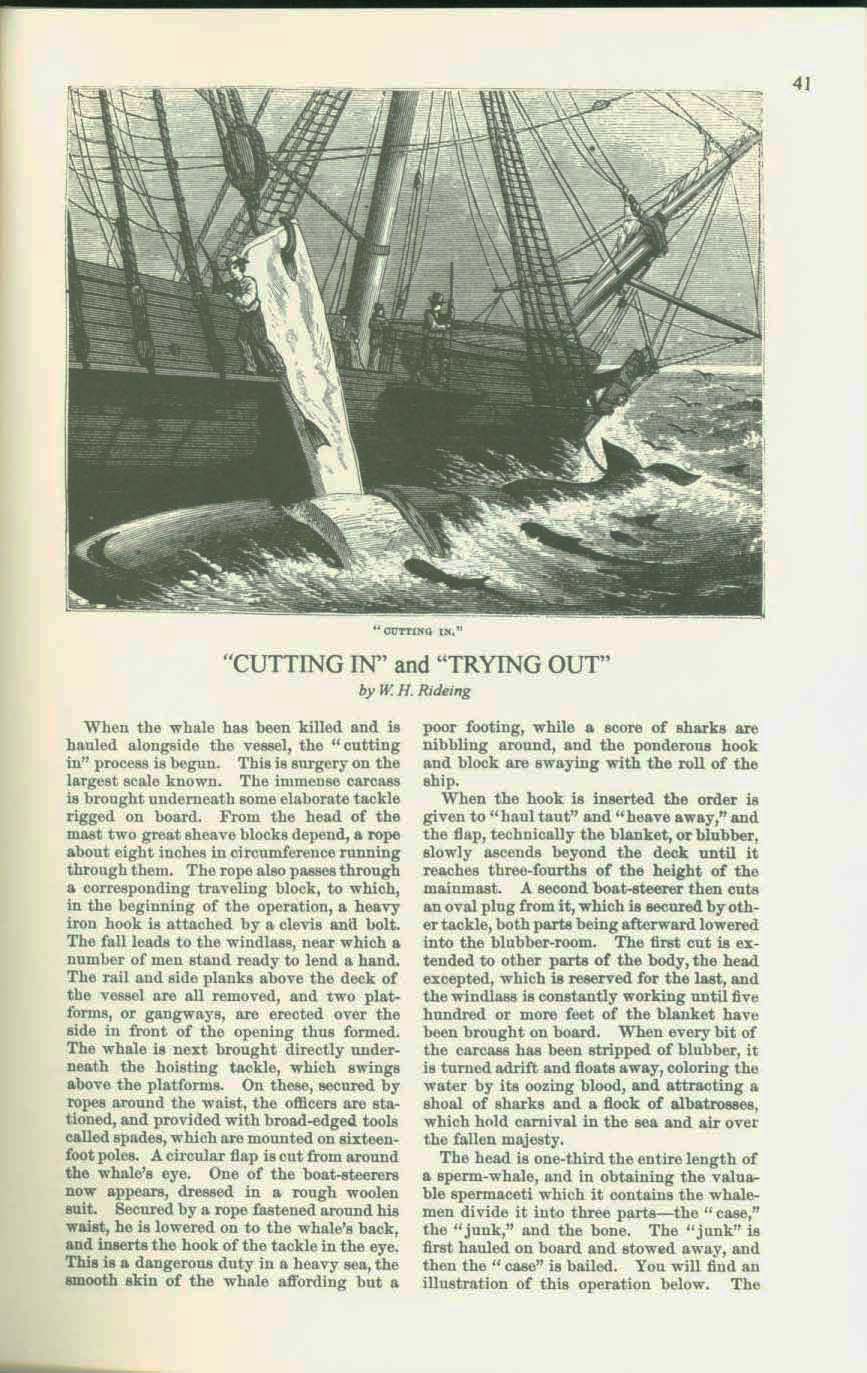 19th CENTURY WHALING TALES. VIST0089f